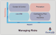 managing Risk model