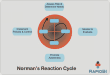 Normans reaction cycle