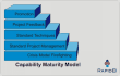 Capability maturity model