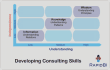 Developing consulting skills  - 9 box model