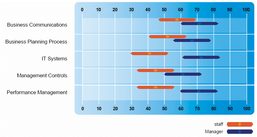 Management Processes business planning business communications management controls - Business cultural diagnostic survey