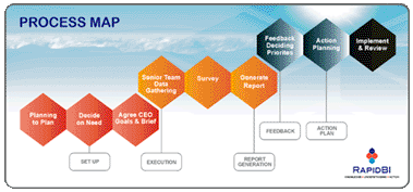 RapidBI Business Review Process Map