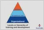 TNA-levels