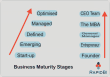 Business maturity model
