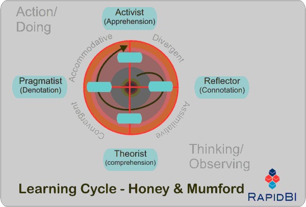 Honey & Mumford learning style, activist, pragmatist, theorist & reflector