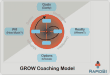 GROW coaching model