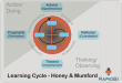 Peter Honey Alan Mumford learning styles cycle