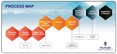Management model - Process map RapidBI disgnostic