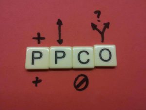 PPCO - Pluses, potential, concerns, options