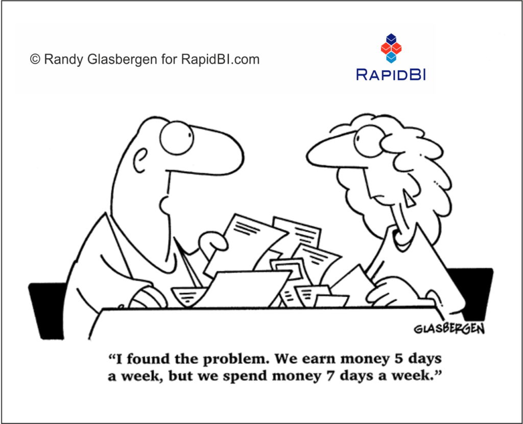 RapidBI Daily Business Cartoon #209
