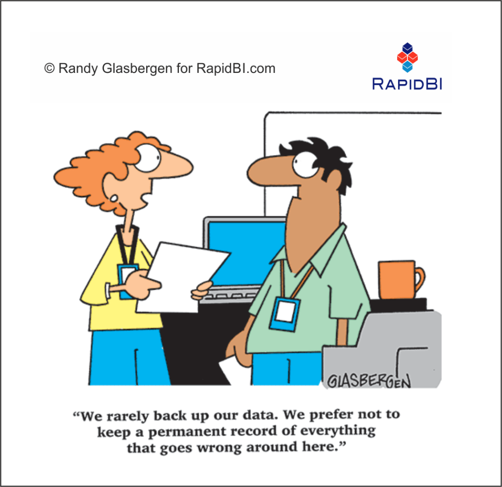RapidBI Daily Business Cartoon #212