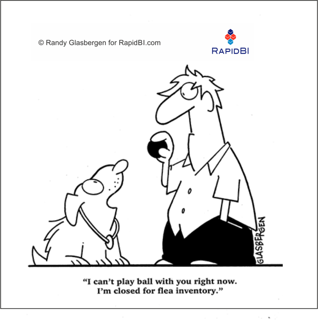 RapidBI Daily Business Cartoon #23