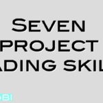 Seven project leading skills