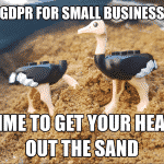 Image of 2 ostrich one with head in sand - GDPR for small business, time to get your head out the sand