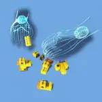 lego ducks being assembled with hands in x-ray form showing brains connected to hands